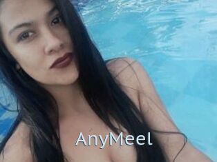 AnyMeel