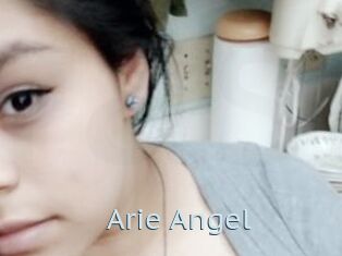 Arie_Angel