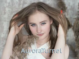 AuroraTurnel