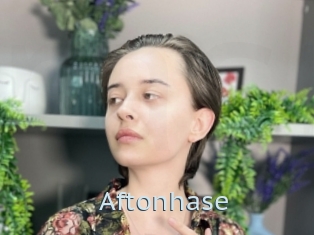 Aftonhase