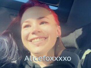 Alicefoxxxxo