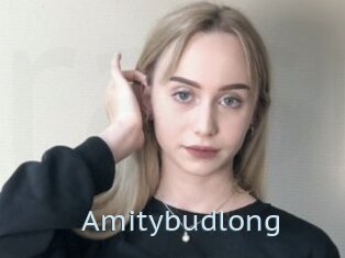 Amitybudlong