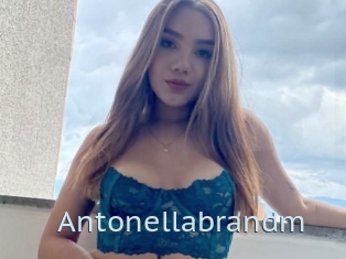 Antonellabrandm