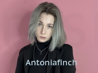 Antoniafinch