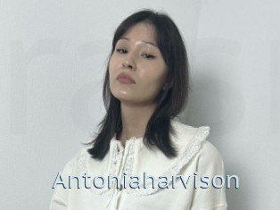 Antoniaharvison