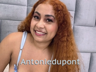 Antoniedupont