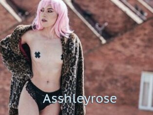 Asshleyrose
