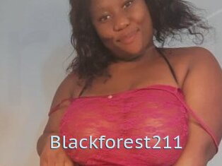 Blackforest211