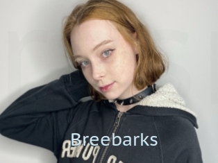 Breebarks