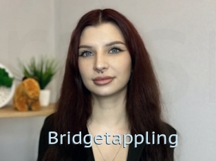 Bridgetappling