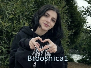 Broosnica1