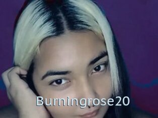 Burningrose20