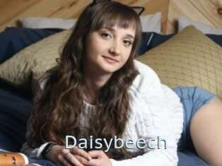 Daisybeech