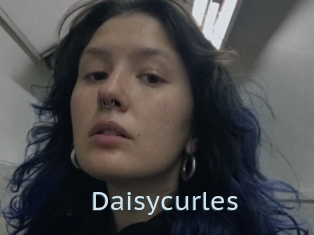 Daisycurles