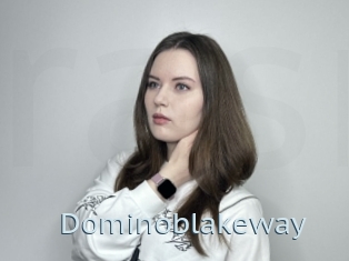 Dominoblakeway