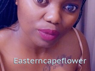 Easterncapeflower