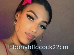 Ebonybiigcock22cm