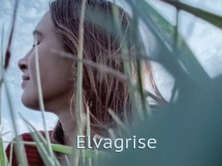 Elvagrise
