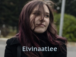 Elvinaatlee