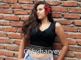 Gabyharvey