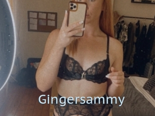 Gingersammy