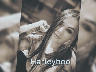 Harleyboo