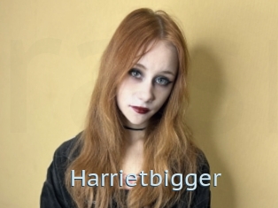 Harrietbigger
