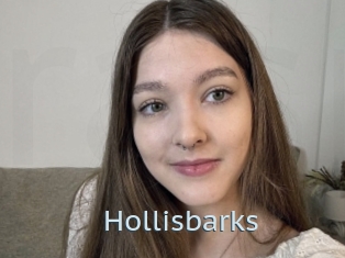 Hollisbarks