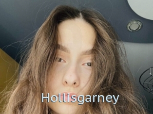 Hollisgarney