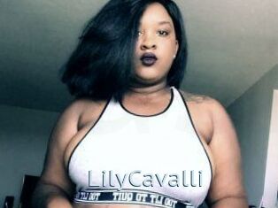 Lily_Cavalli