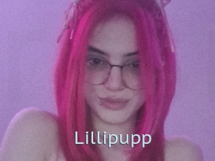 Lillipupp