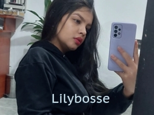 Lilybosse