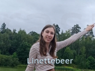Linettebeer