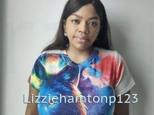 Lizziehamtonp123