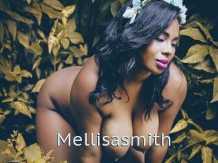Mellisasmith