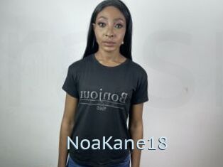 NoaKane18