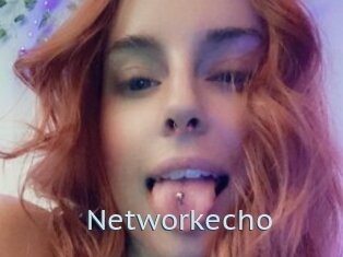 Networkecho