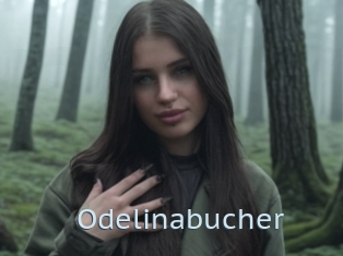 Odelinabucher