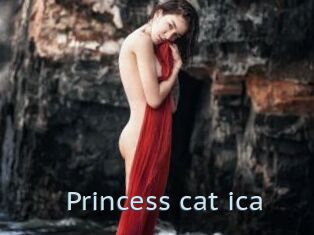 Princess_cat_ica