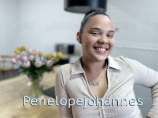 Penelopejohannes
