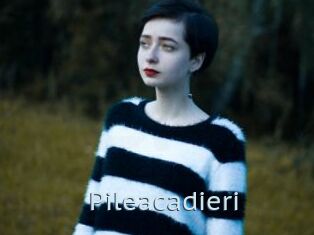 Pileacadieri