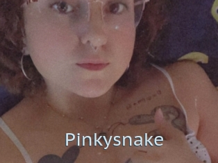 Pinkysnake