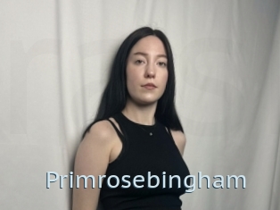 Primrosebingham