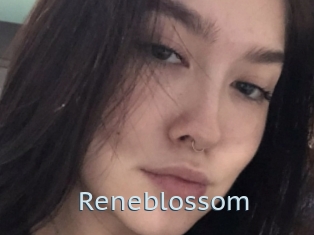 Reneblossom