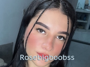Rosebigboobss