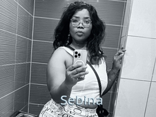 Sebina