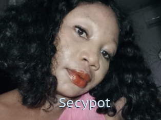 Secypot