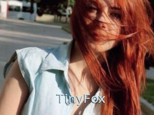 TinyFox