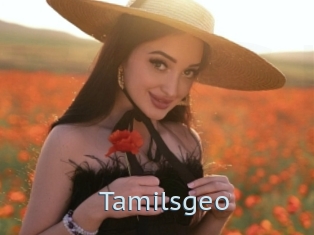 Tamilsgeo
