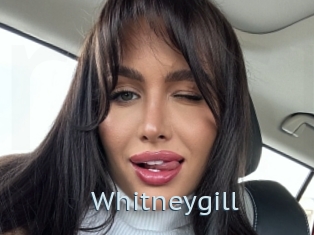 Whitneygill